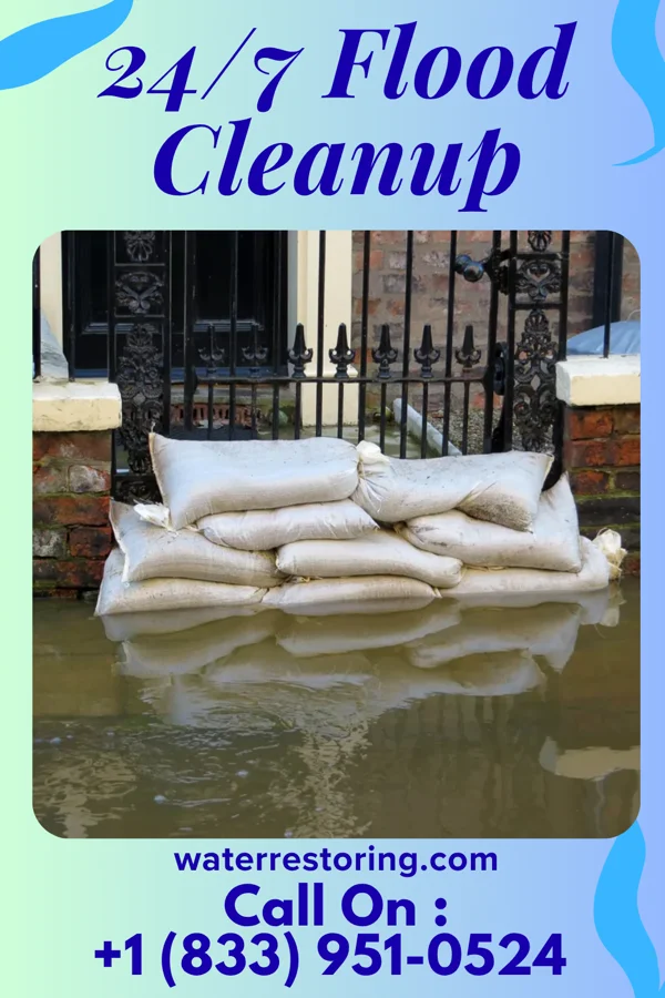 24/7 Flood Cleanup in Lake Holiday, IN