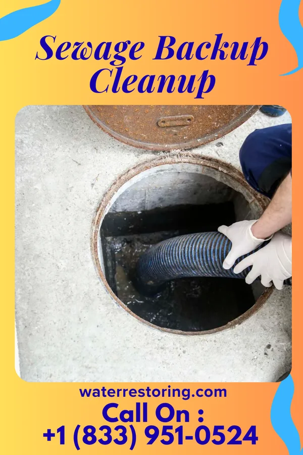 Sewage Backup Cleanup in Lake Holiday, IN