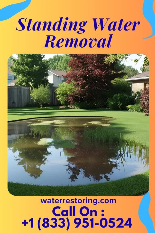 Standing Water Removal in Lake Holiday, IN